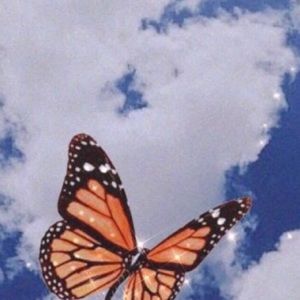 Meet your Posher, Taidyn